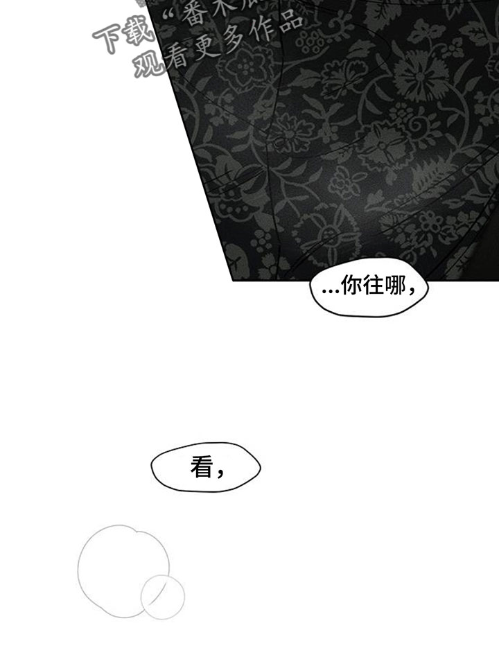 枯萎的花伤心的泪漫画,第242章：故意不给我看2图