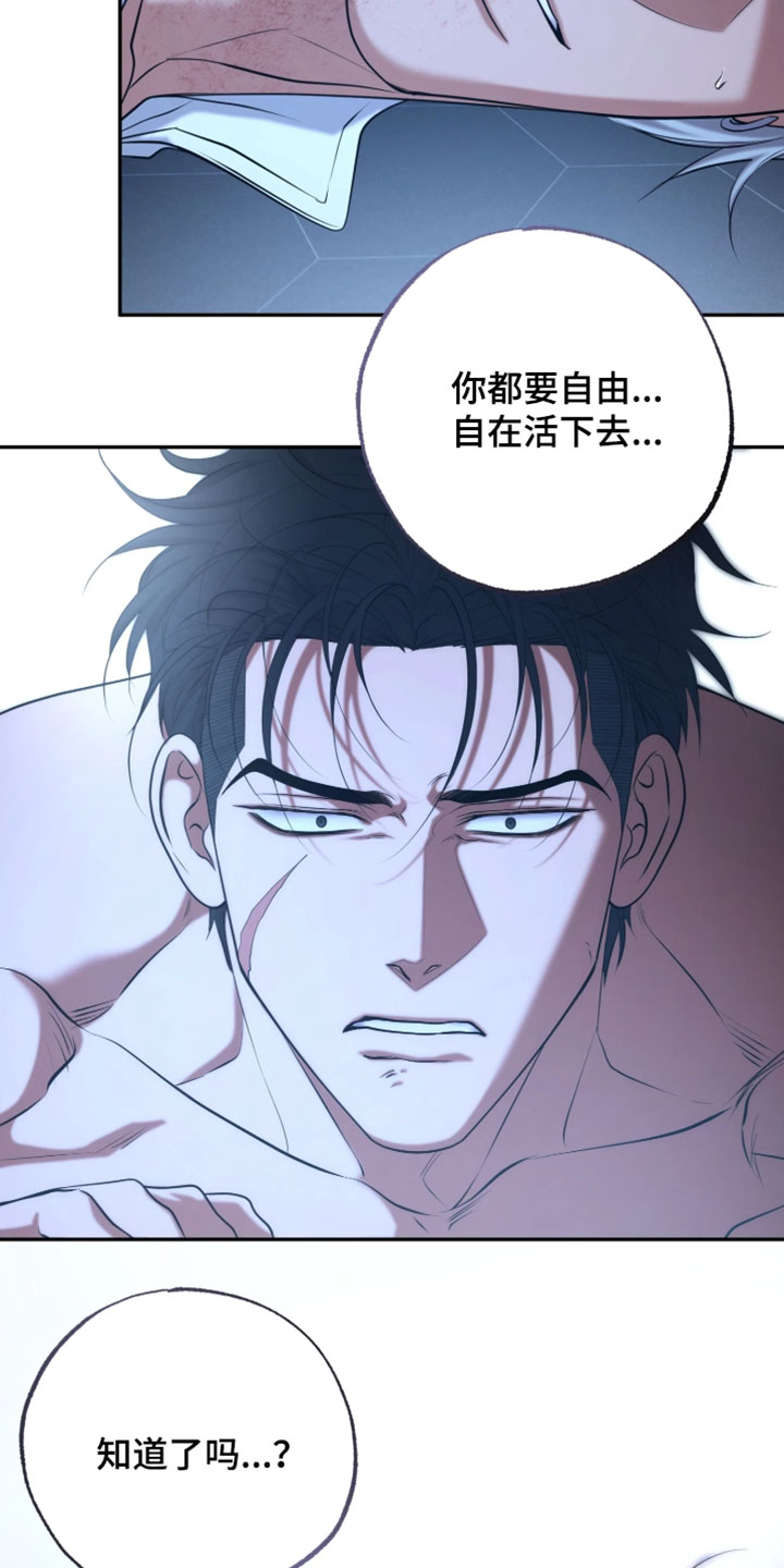 幽灯信标后续剧情漫画,第54章：都是因为我1图