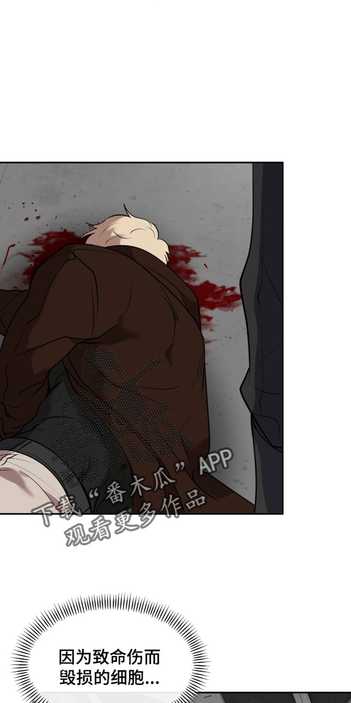 幽灯信标漫画免费观看完漫画,第45章：不能再受伤了5图