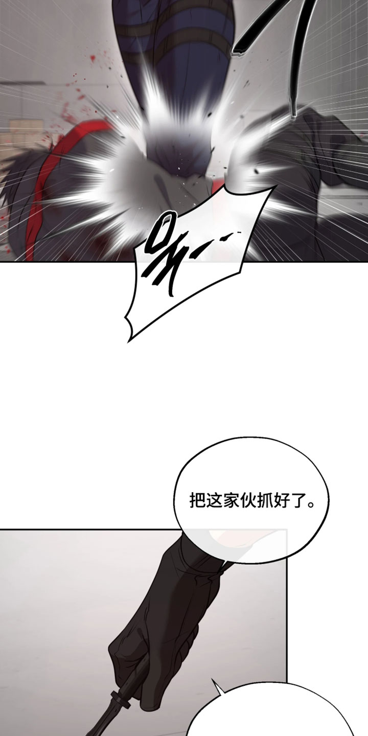 幽灯蕈除了鹤观还有哪里能采到漫画,第48章：恶趣味1图