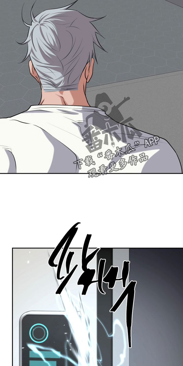 幽灯信标漫画免费观看完漫画,第51章：立刻返回2图