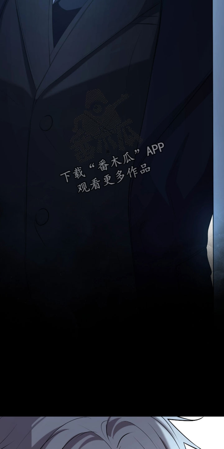 幽灯信标漫画免费观看完漫画,第51章：立刻返回5图