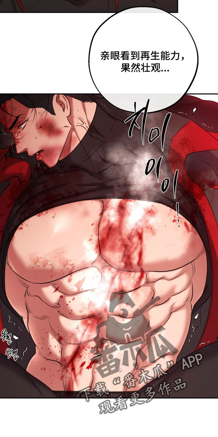 幽灯蕈除了鹤观还有哪里能采到漫画,第48章：恶趣味4图