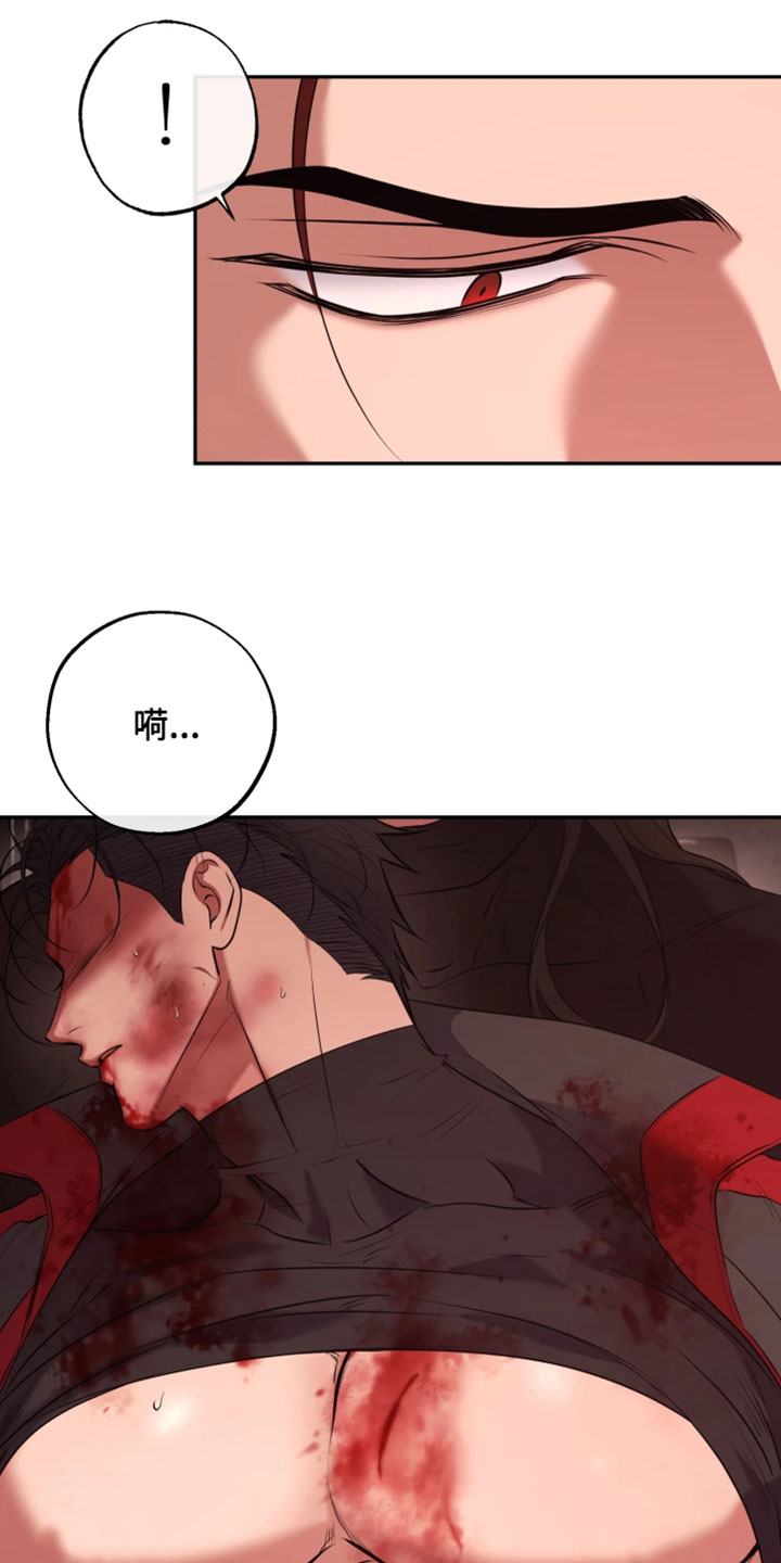 幽灯蕈除了鹤观还有哪里能采到漫画,第48章：恶趣味4图
