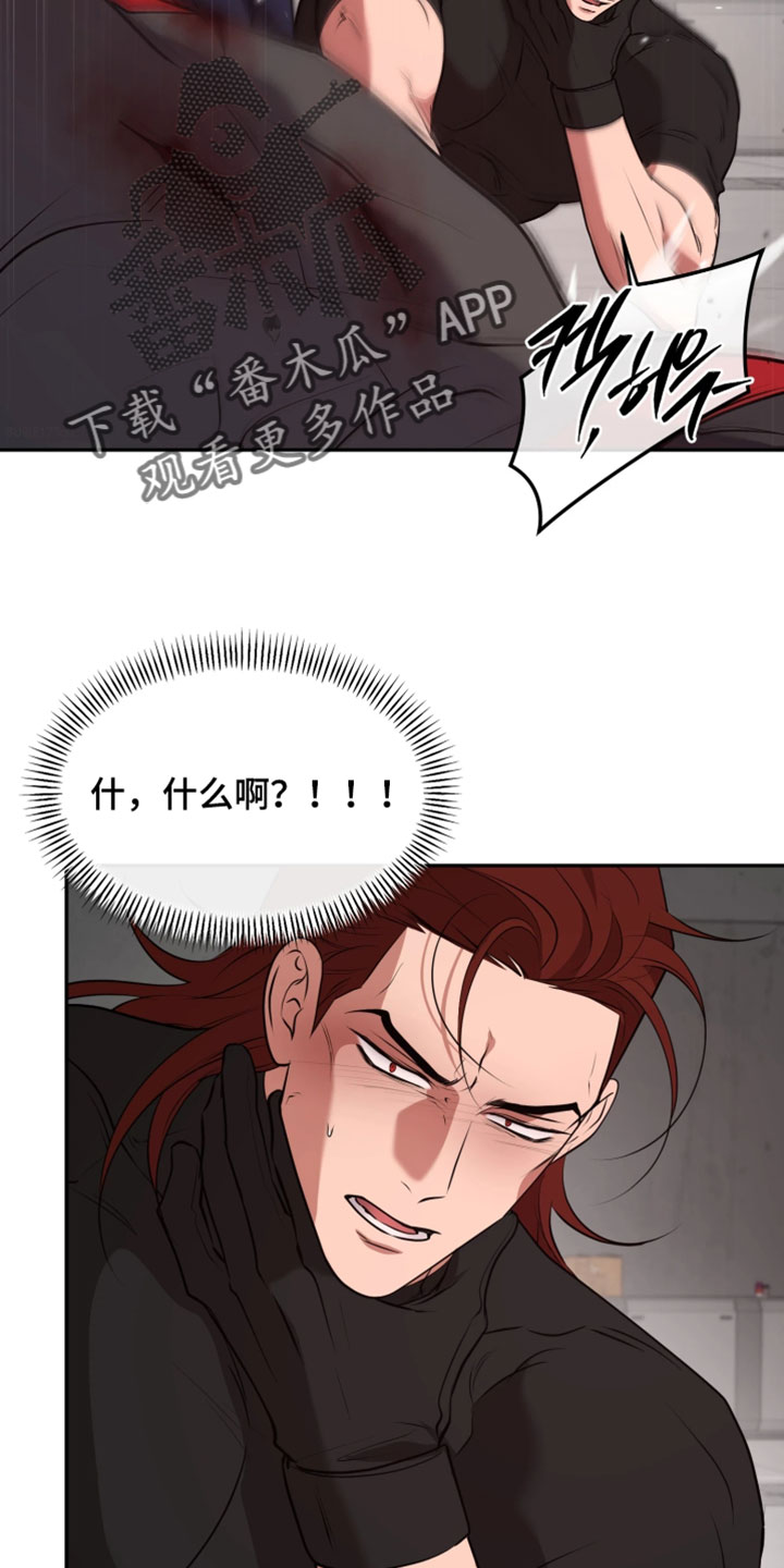 幽灯蕈除了鹤观还有哪里能采到漫画,第48章：恶趣味3图