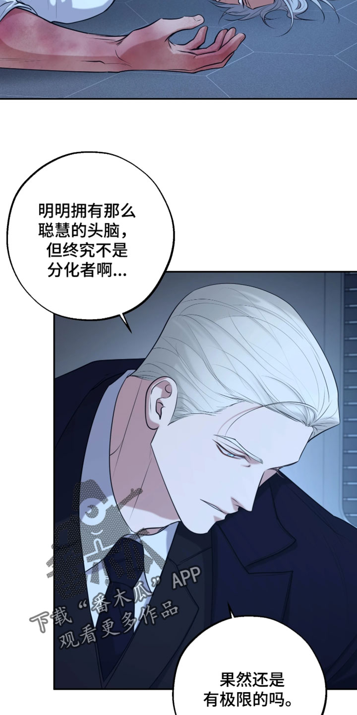 幽灯信标漫画免费观看完漫画,第53章：可惜的人才3图