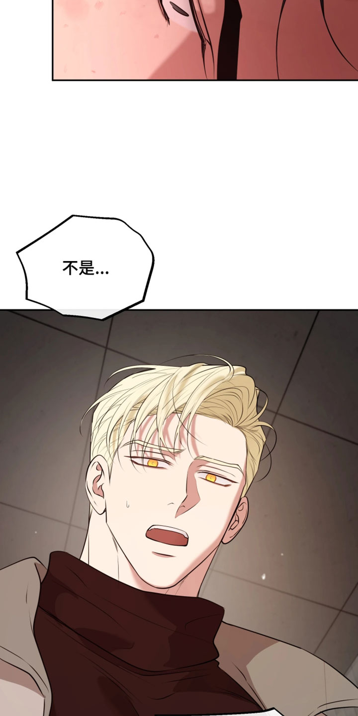 幽灯蕈除了鹤观还有哪里能采到漫画,第50章：不能再出任何差错3图