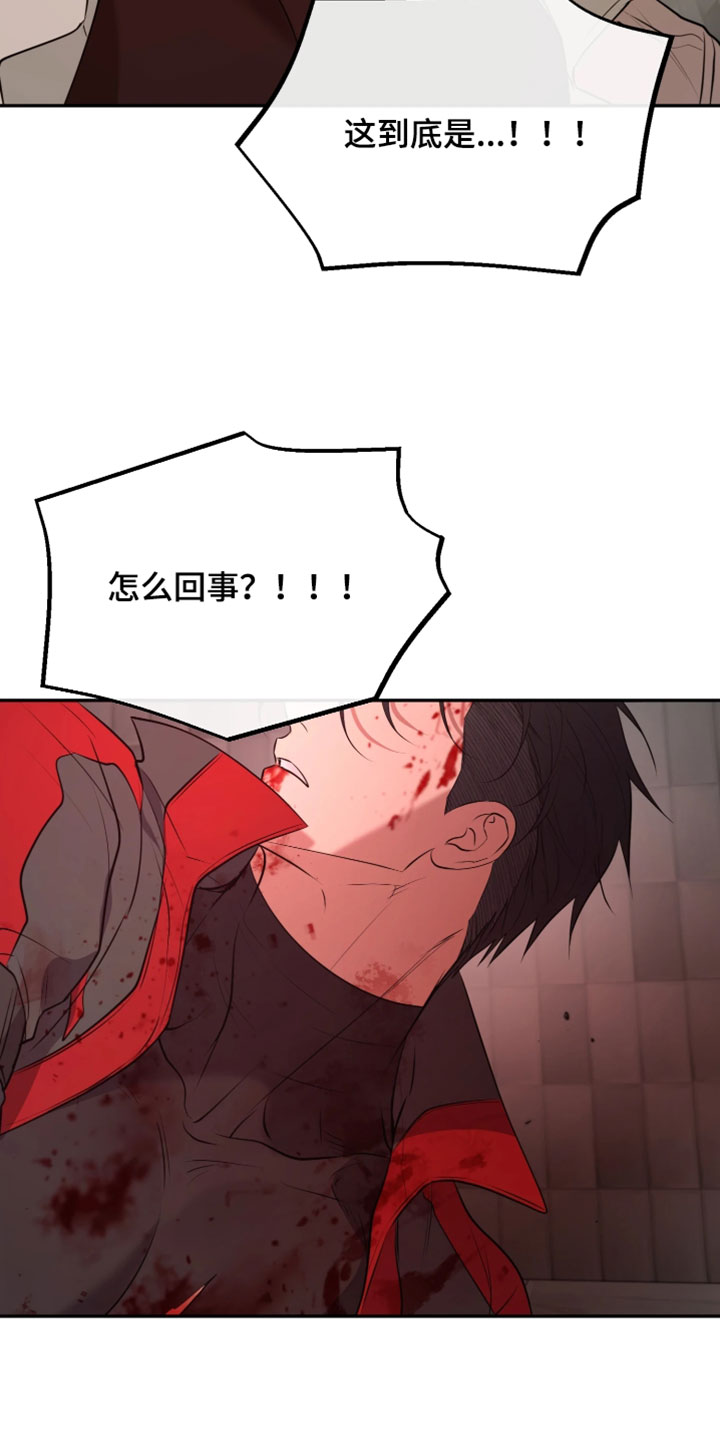 幽灯蕈除了鹤观还有哪里能采到漫画,第50章：不能再出任何差错4图