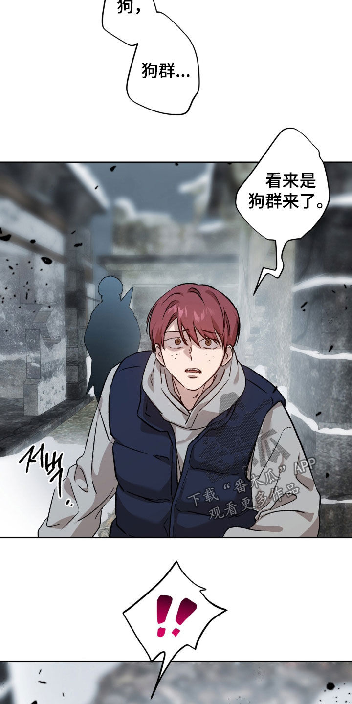 双生悲愿弟弟真的死了吗漫画,第78章：图书馆5图