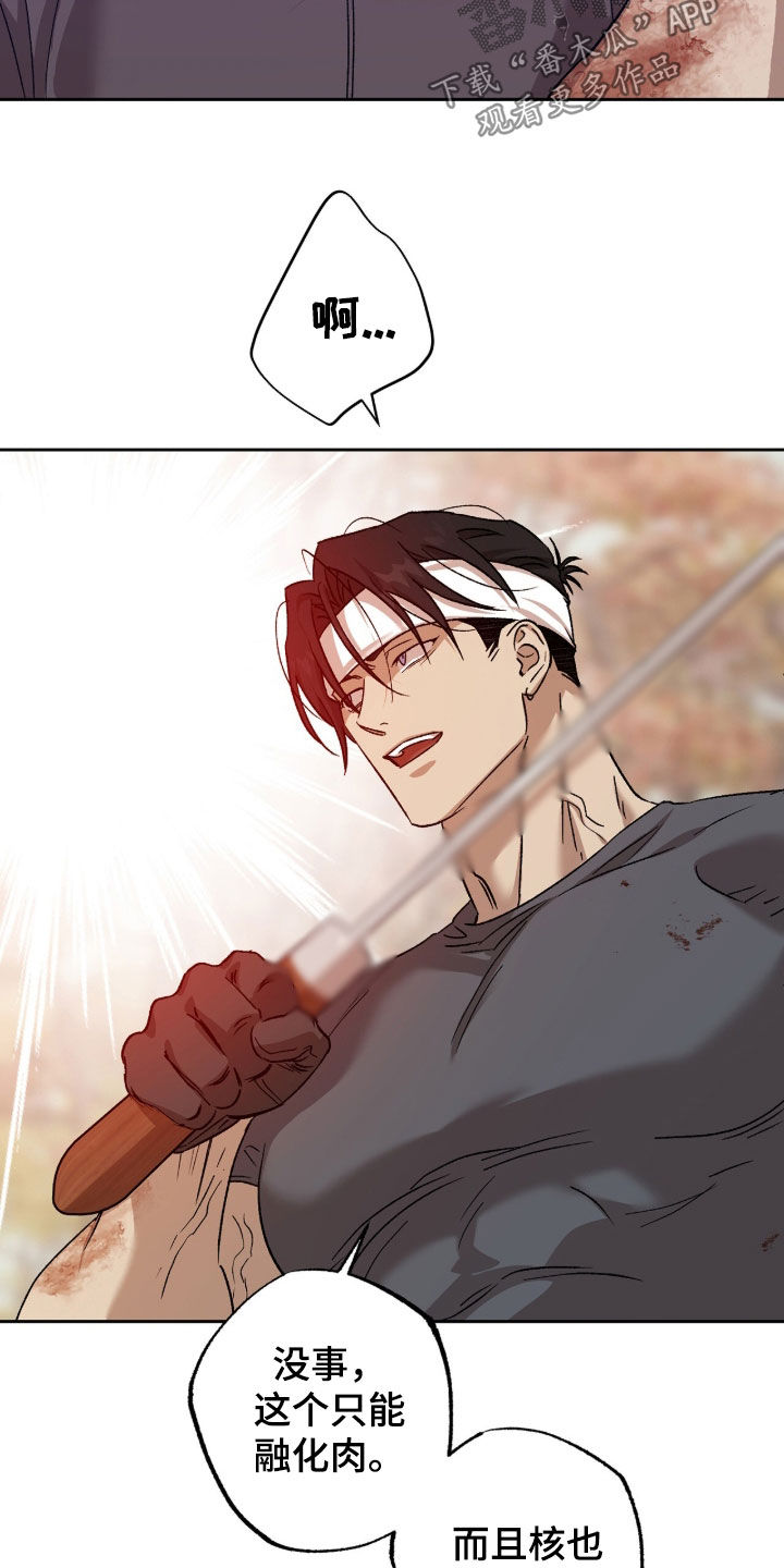 双生悲愿漫画更新时间漫画,第80章：战斗4图