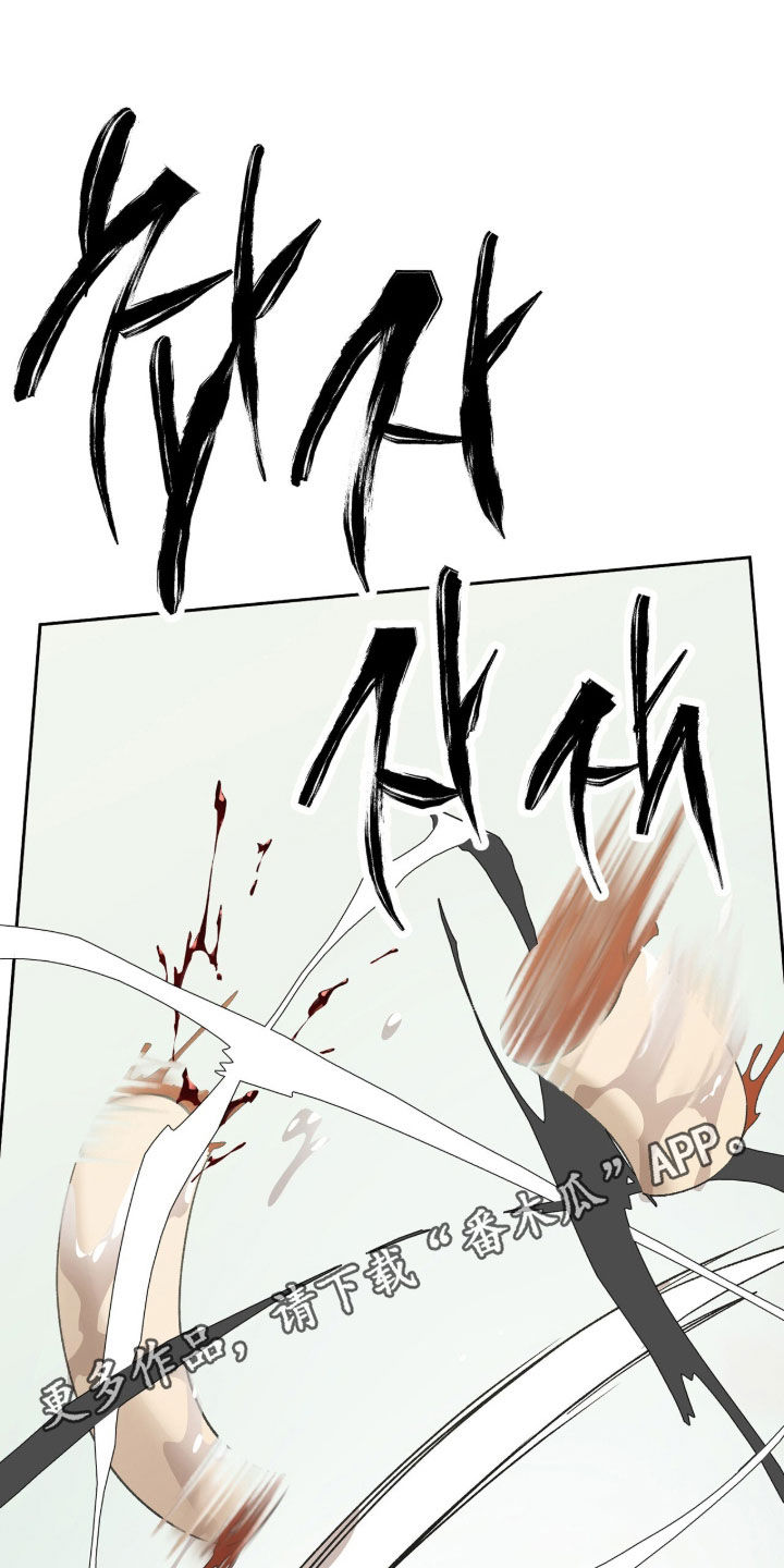 双生悲愿漫画更新时间漫画,第79章：杀了吧1图
