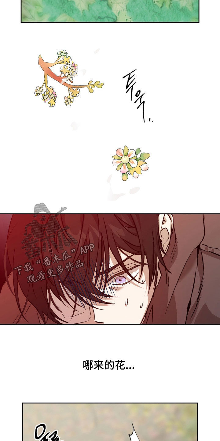 双生悲愿漫画书周边漫画,第79章：杀了吧4图