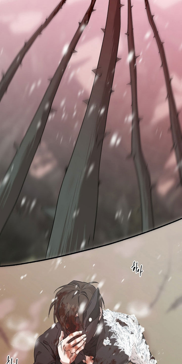 双生悲愿漫画书周边漫画,第83章：你是奇迹2图