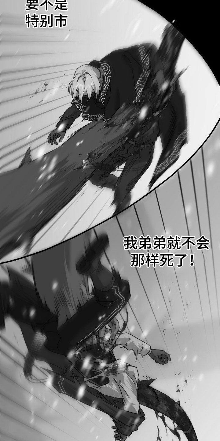 双生悲愿漫画书周边漫画,第83章：你是奇迹5图