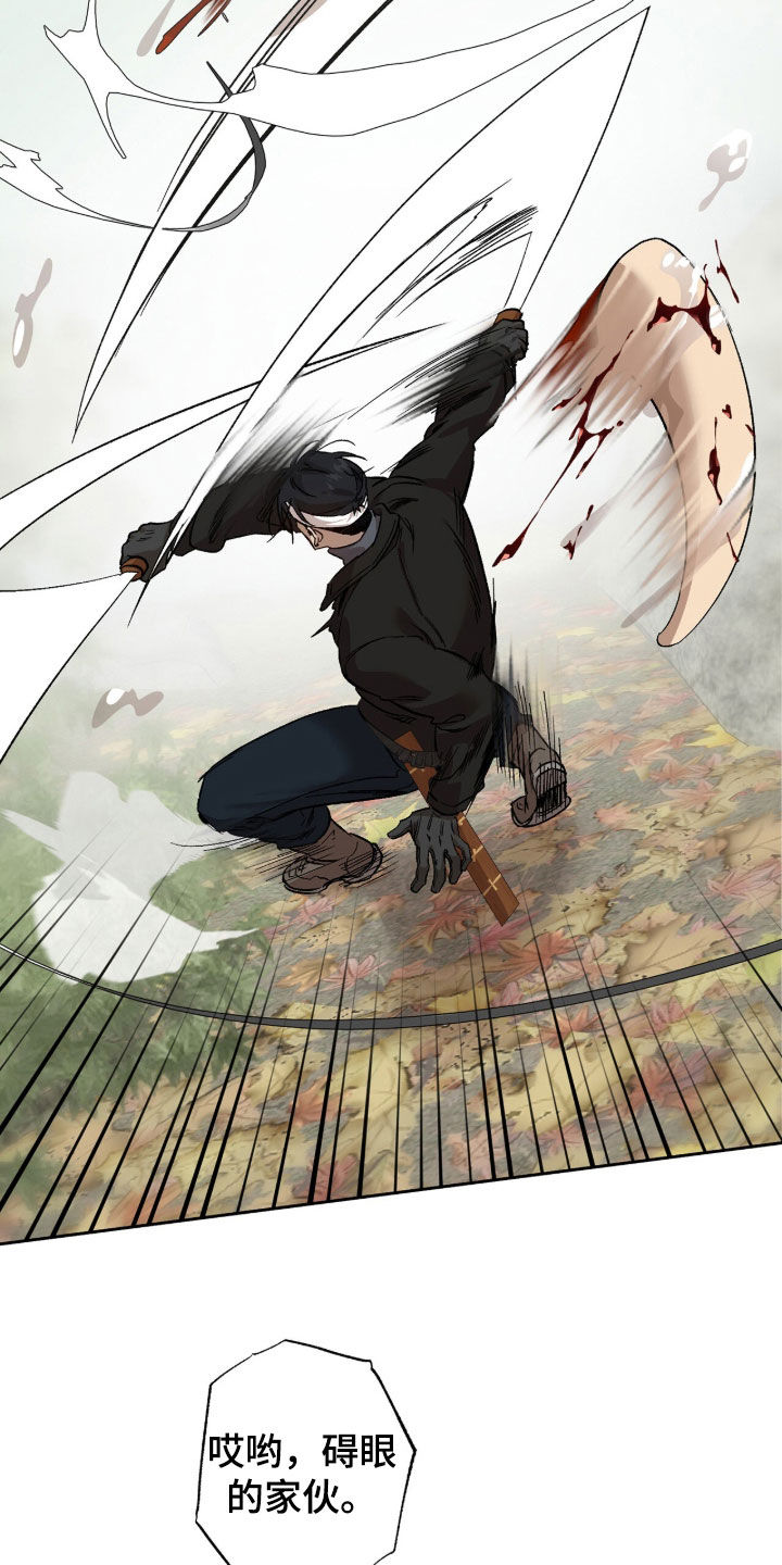 双生悲愿漫画更新时间漫画,第79章：杀了吧2图