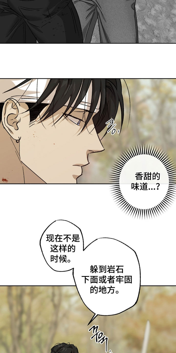 双生悲愿漫画更新时间漫画,第80章：战斗2图