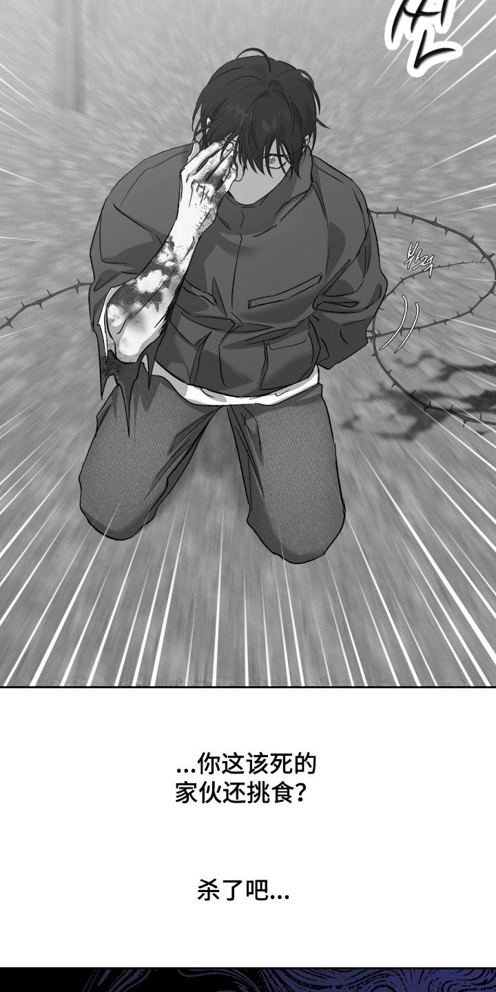 双生悲愿漫画书周边漫画,第79章：杀了吧1图