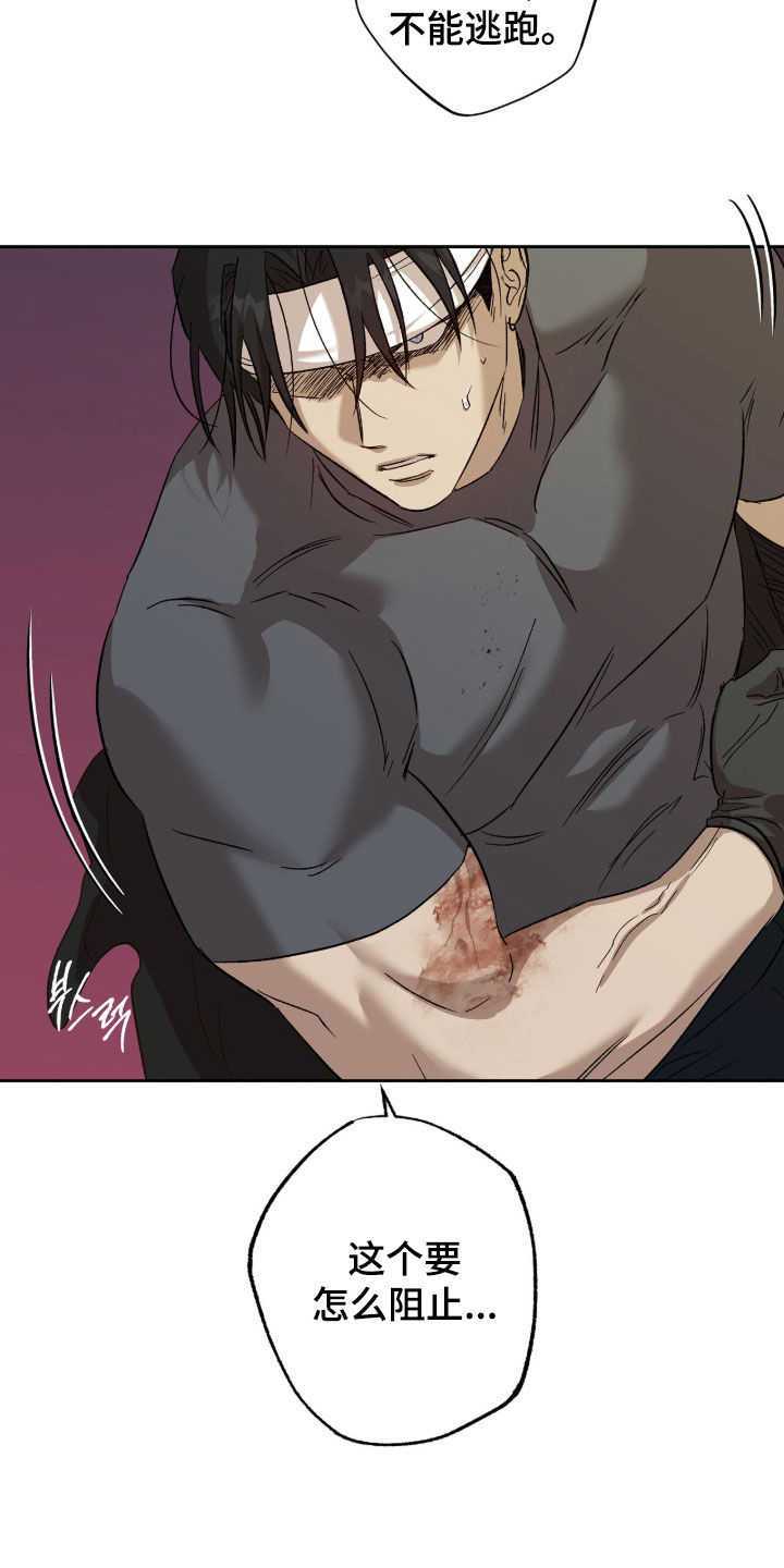 双生悲愿漫画更新时间漫画,第79章：杀了吧4图