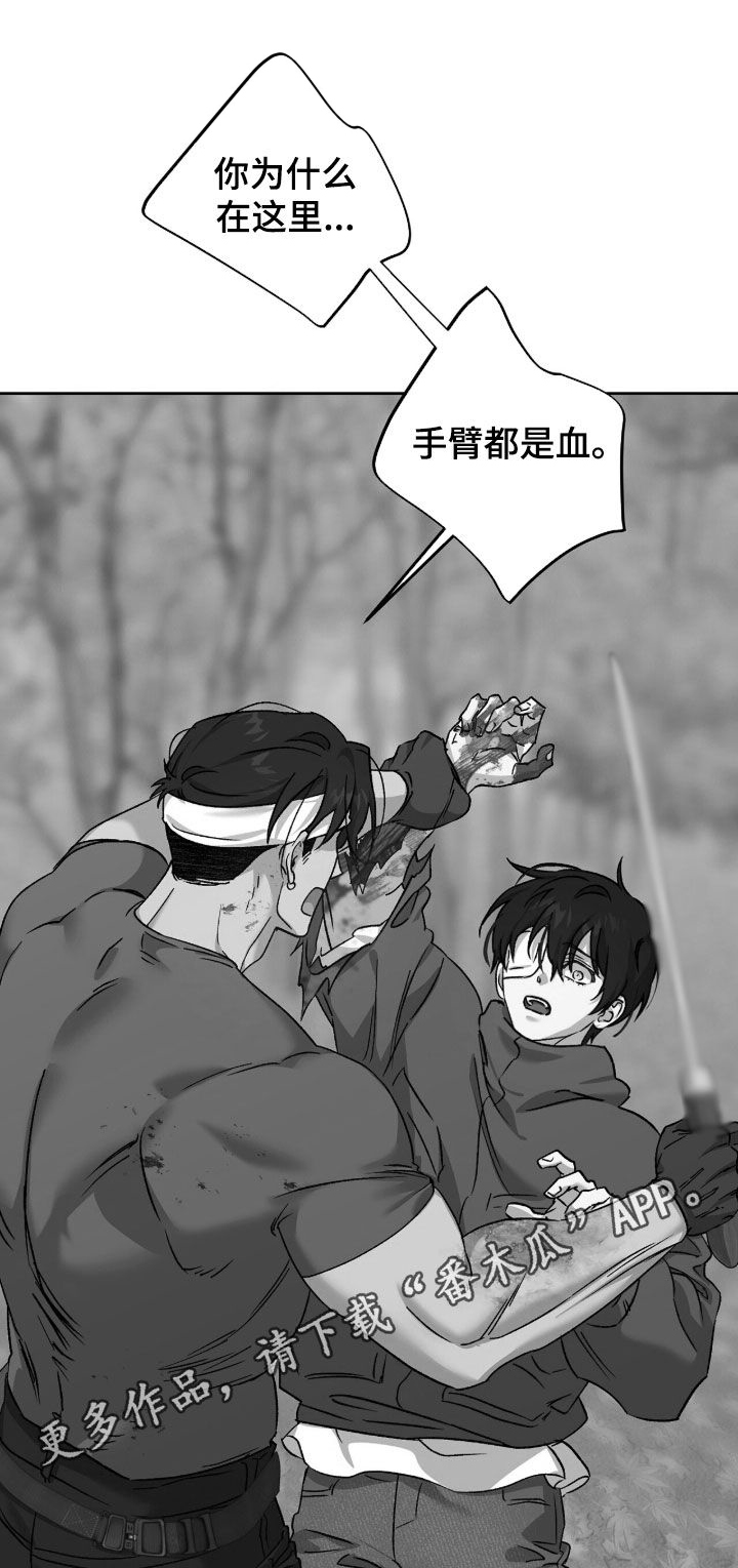 双生悲愿漫画更新时间漫画,第80章：战斗1图