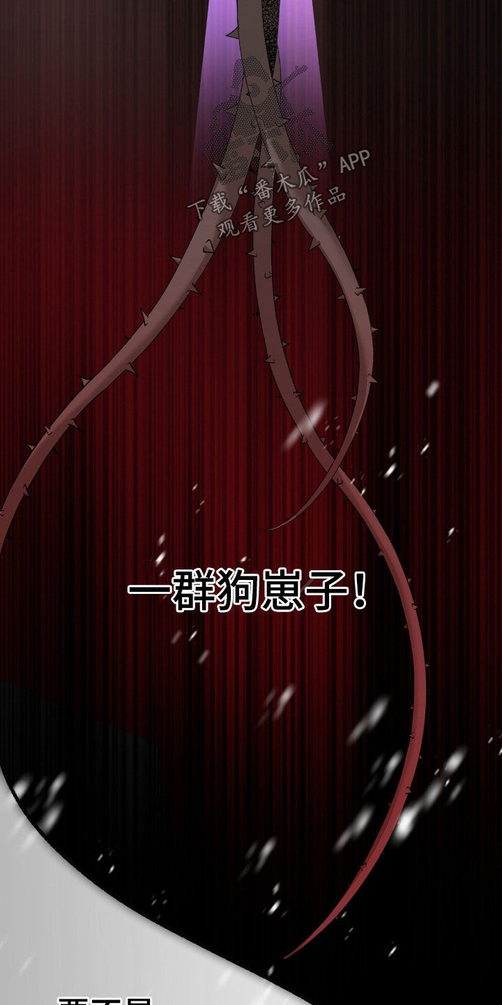 双生悲愿漫画书周边漫画,第83章：你是奇迹4图