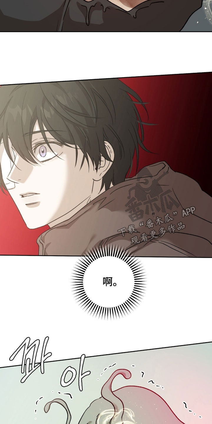 双生悲愿漫画更新时间漫画,第80章：战斗1图