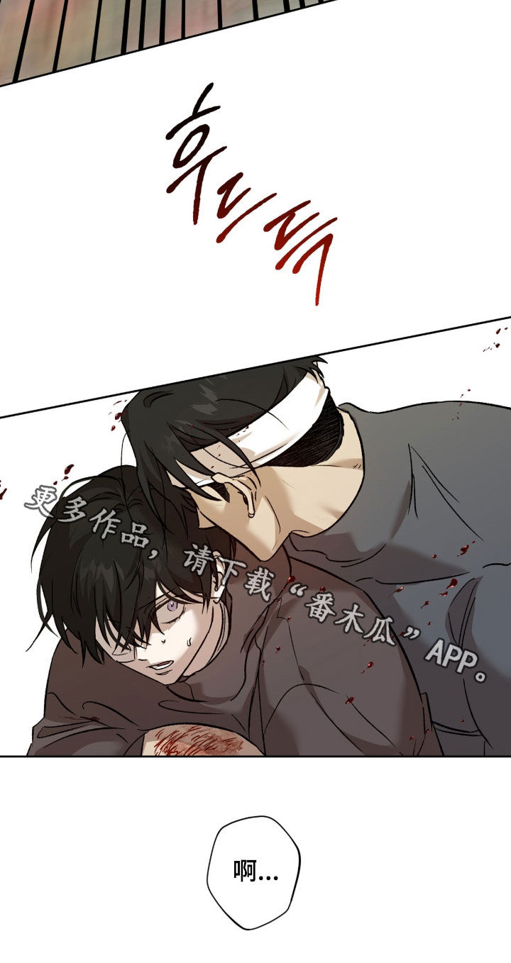 双生悲愿漫画书周边漫画,第79章：杀了吧5图