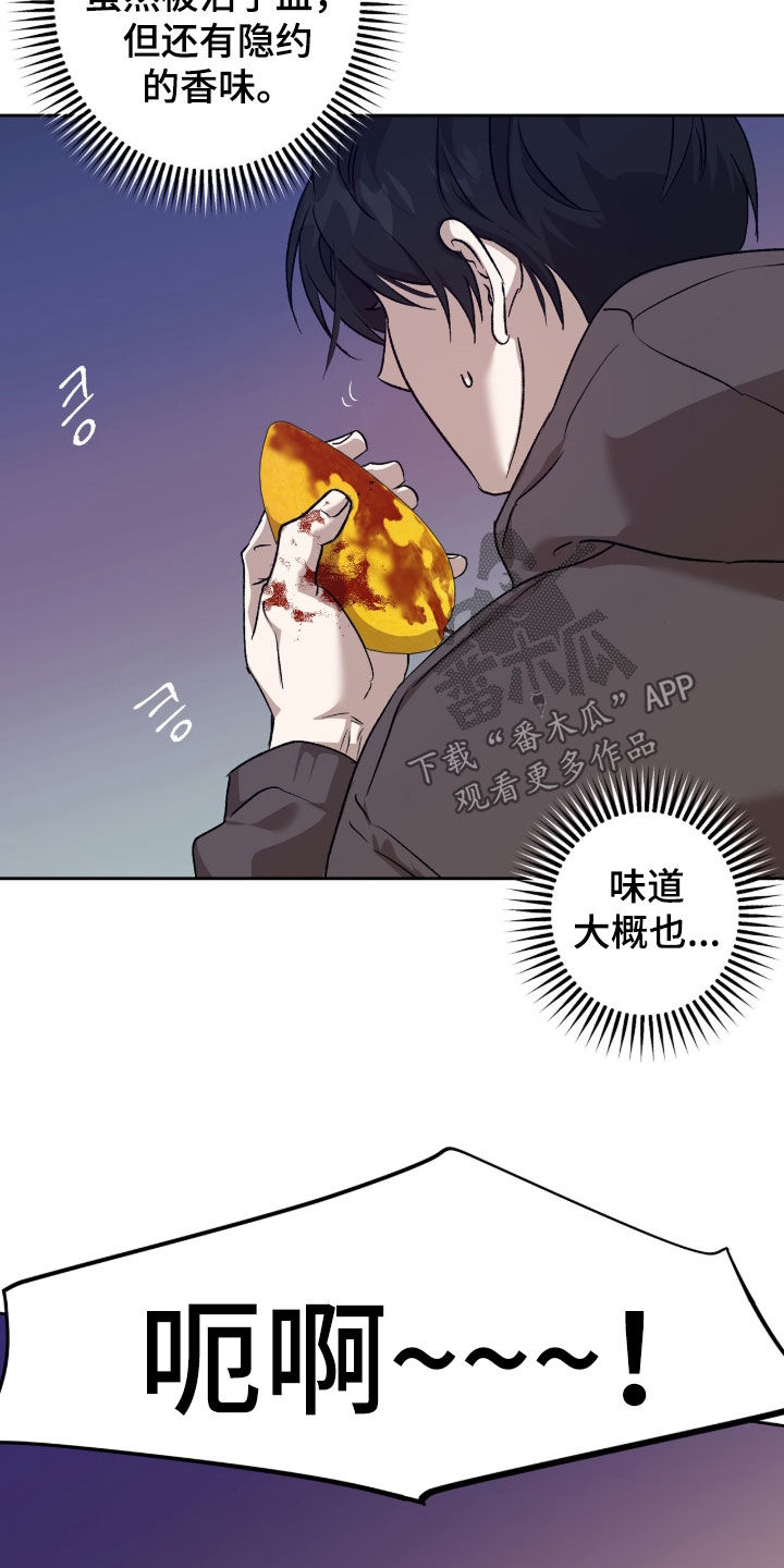 双生悲愿漫画书周边漫画,第79章：杀了吧2图