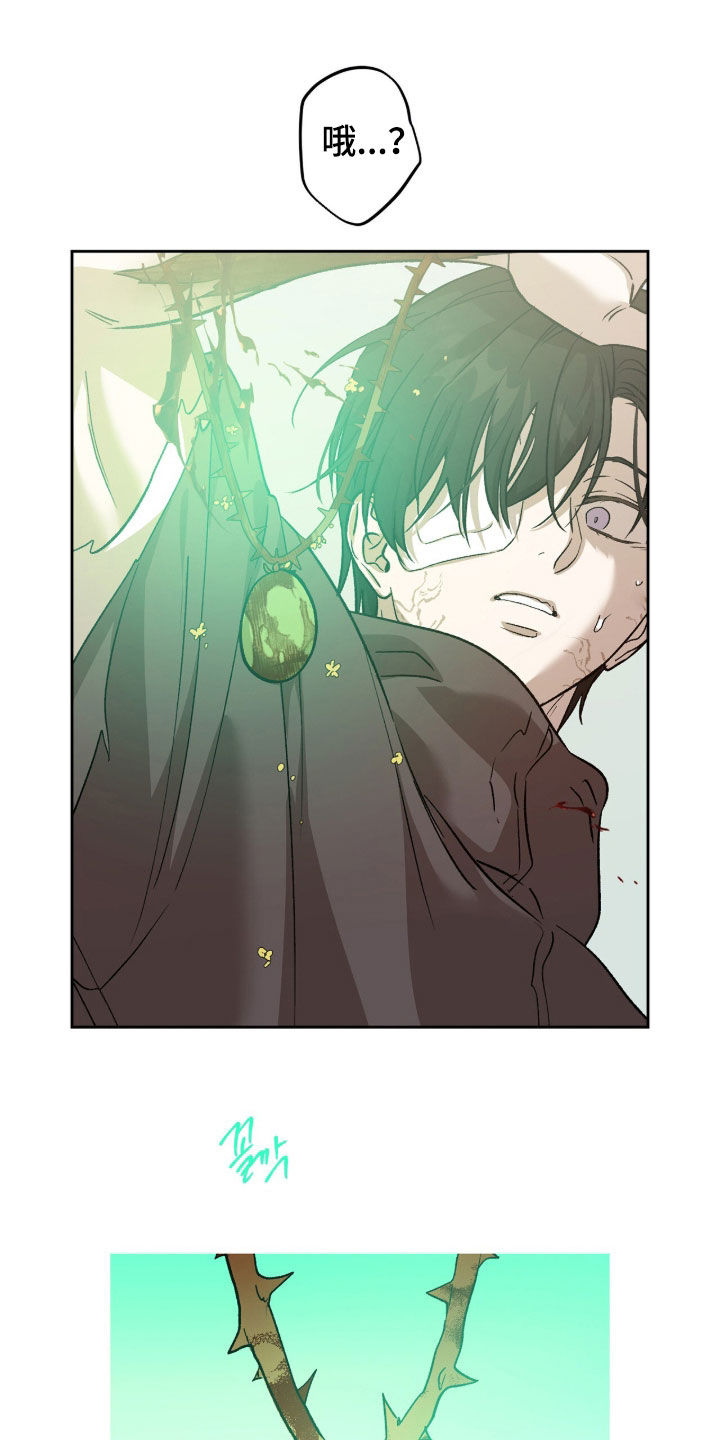 双生悲愿漫画书周边漫画,第79章：杀了吧3图