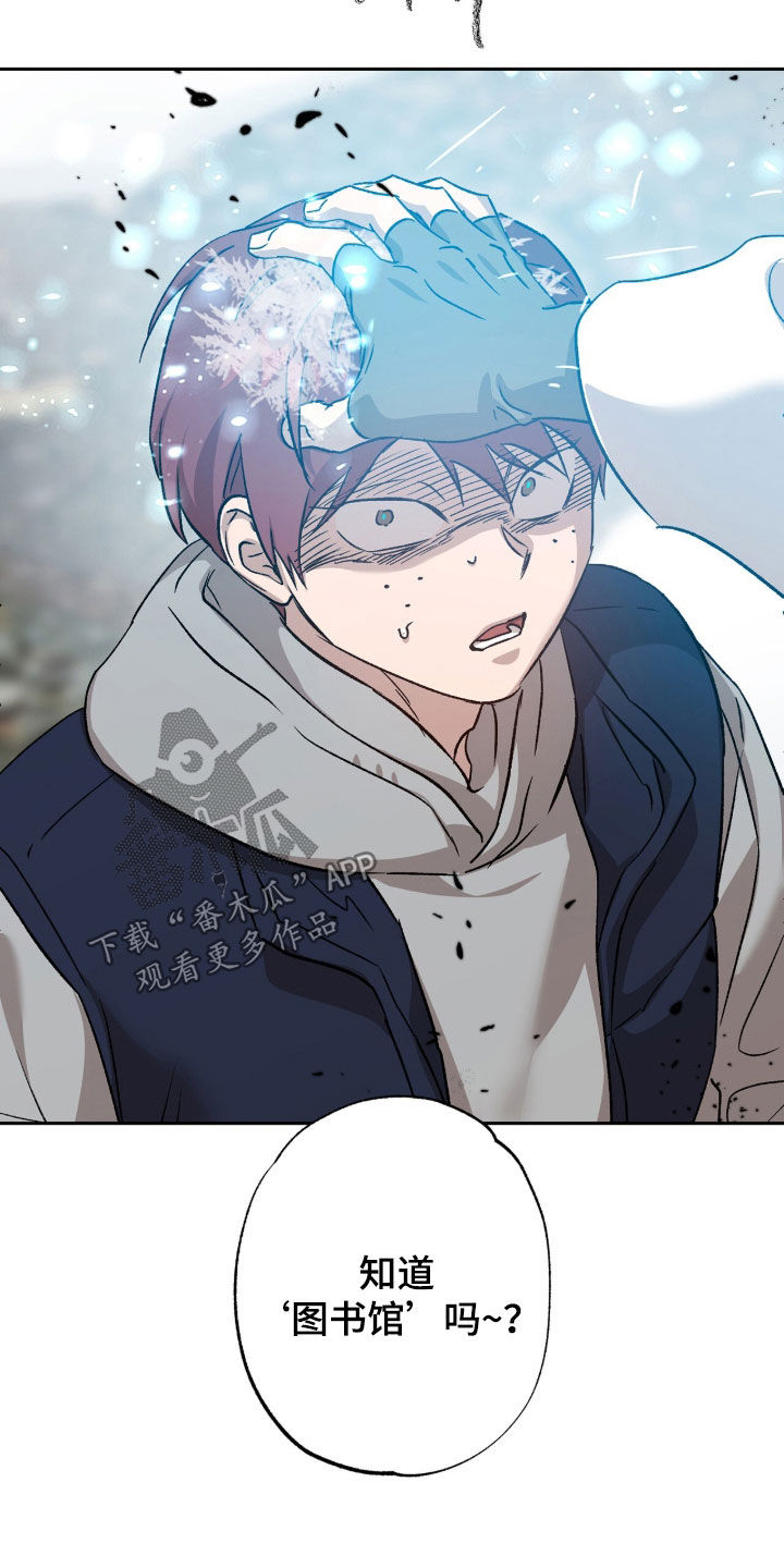 双生悲愿弟弟真的死了吗漫画,第78章：图书馆3图