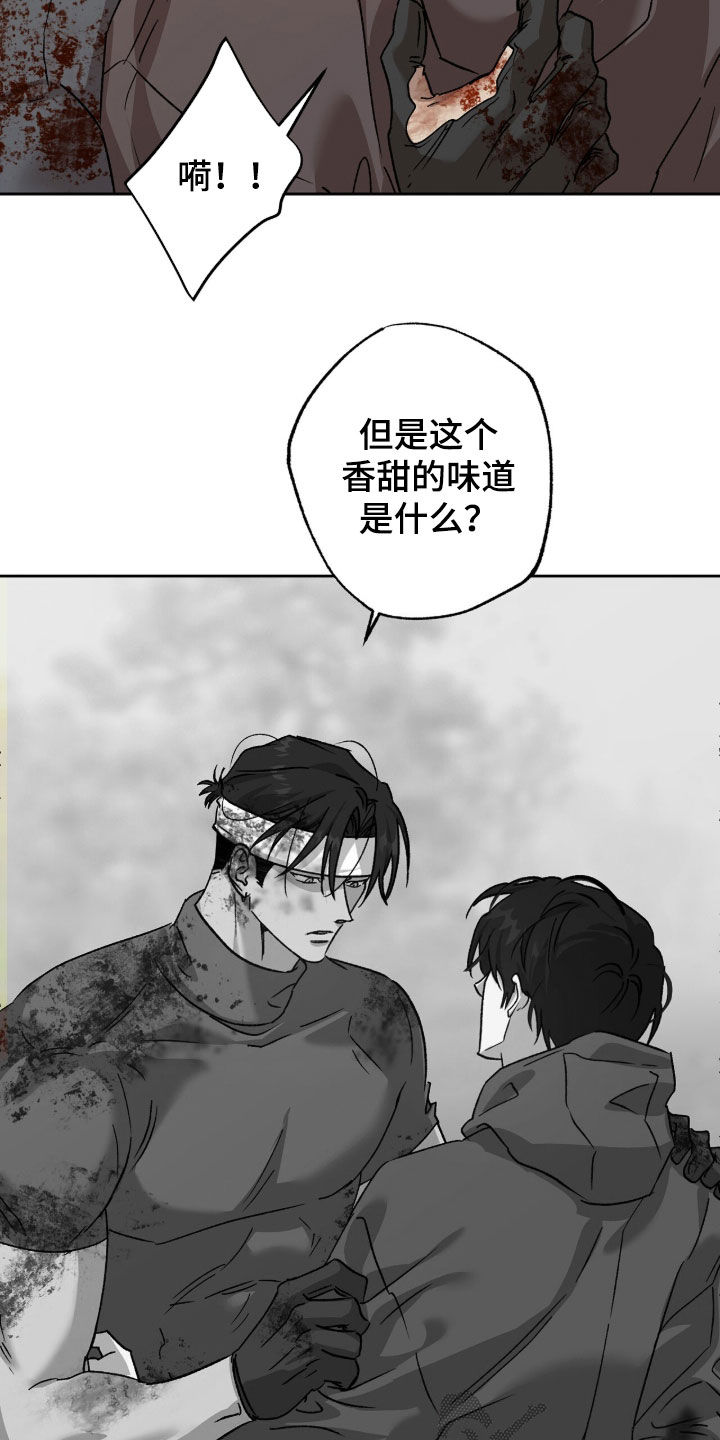 双生悲愿弟弟真的死了吗漫画,第81章：我担心你3图