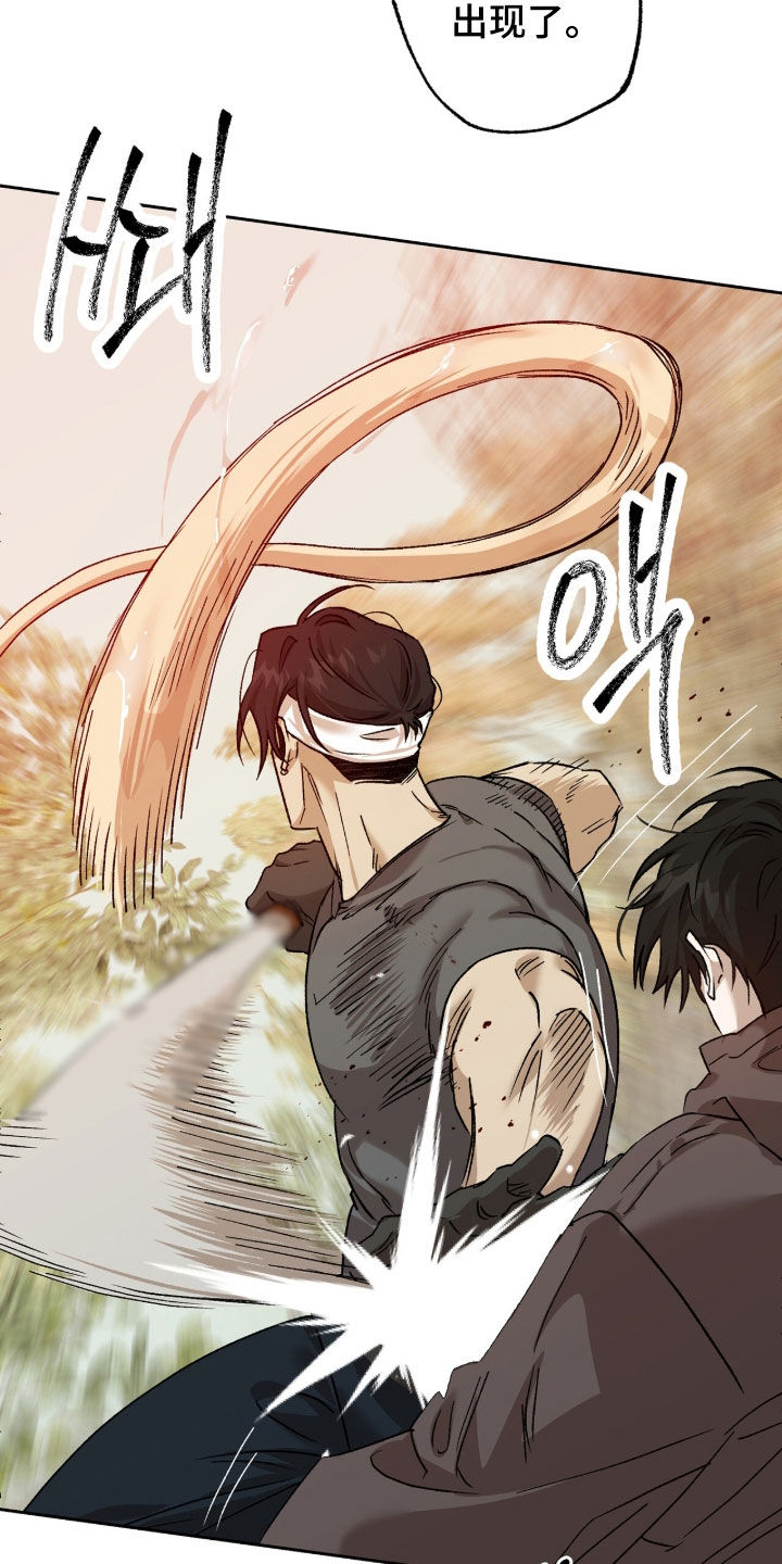 双生悲愿漫画更新时间漫画,第80章：战斗5图