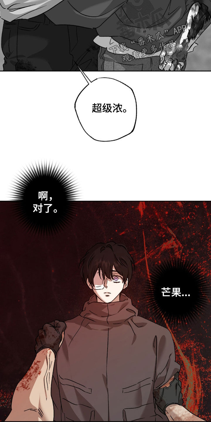 双生悲愿弟弟真的死了吗漫画,第81章：我担心你4图