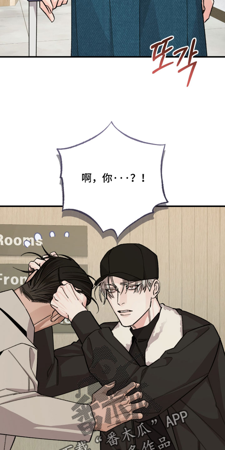 越界助理漫画,第71章：【番外】终于见到了3图