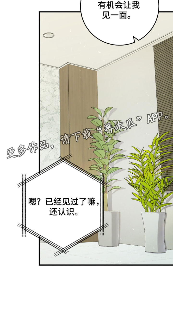 越界助理漫画,第67章：【番外】有机会让我见一面3图