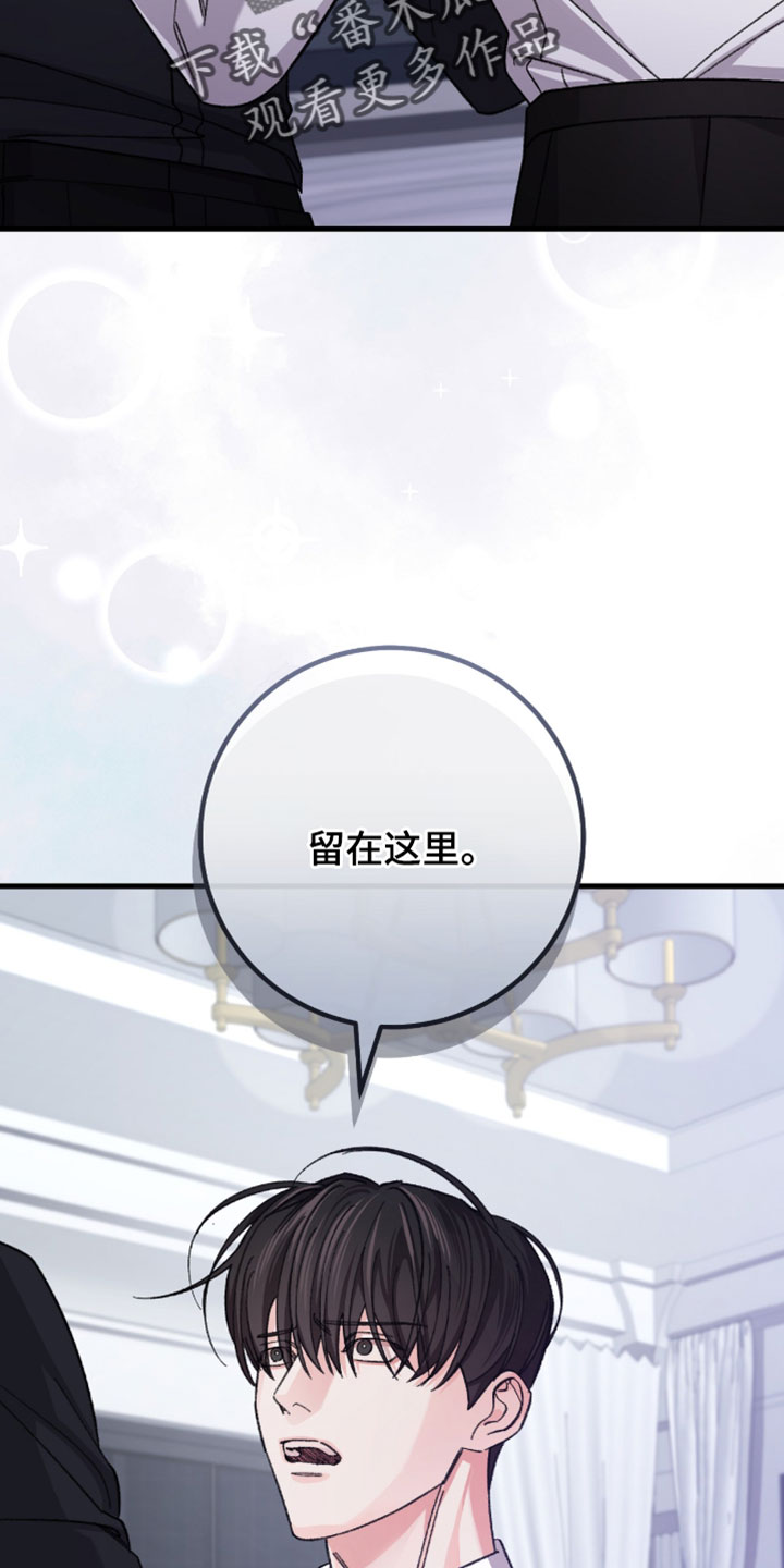 越界助理漫画,第64章：【番外】留在这里3图