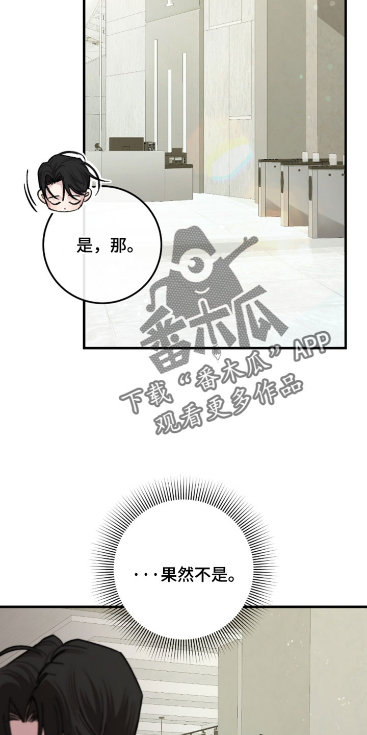 越界助理漫画,第70章：【番外】只是一个认识的人5图