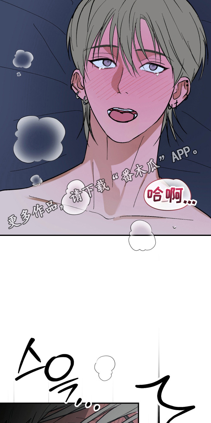 同居的秘密法则漫画,第43章：明显喜欢1图