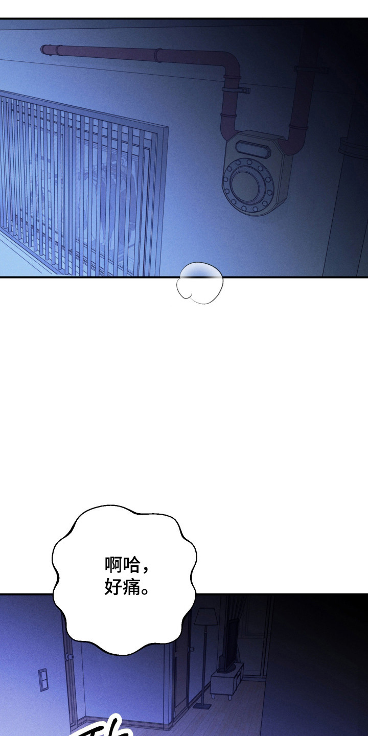 诡异同居恐怖情节漫画,第43章：明显喜欢1图
