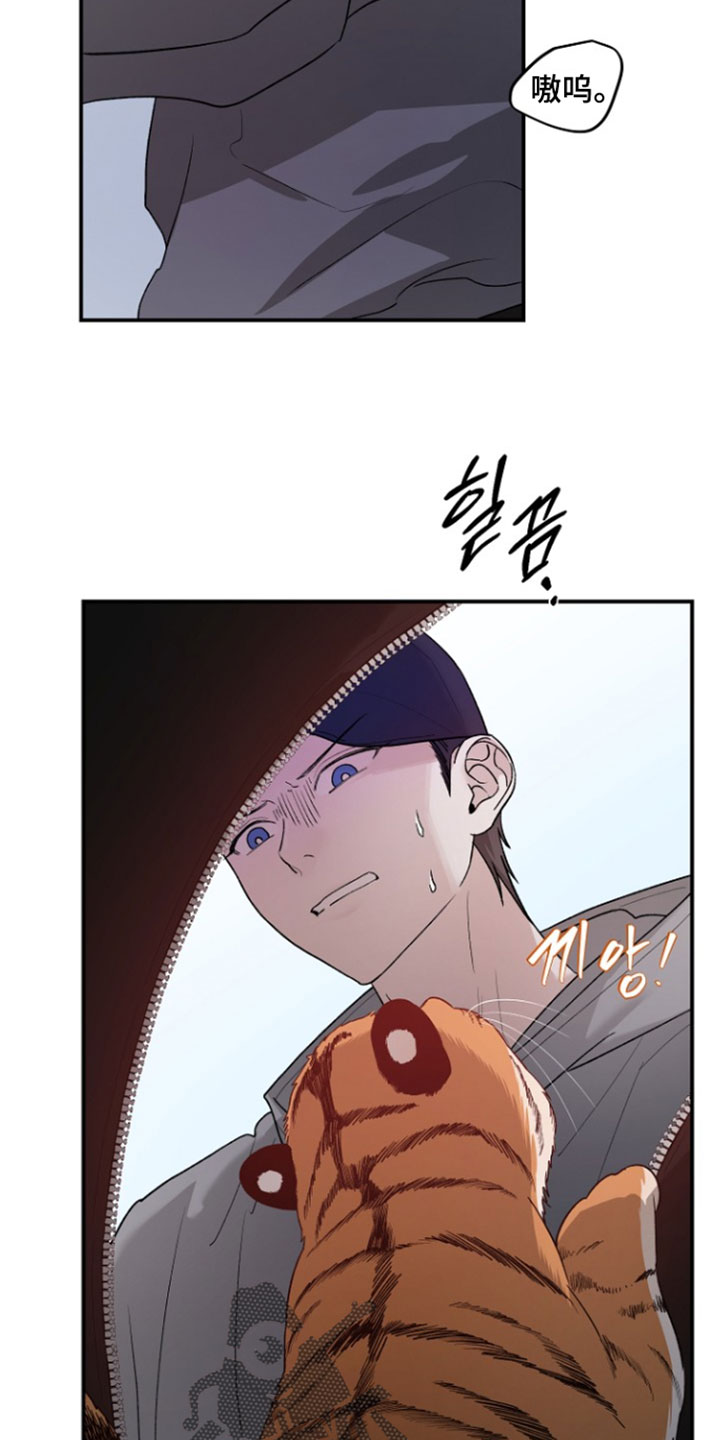 命中犯虎漫画,第78章：看着很不安2图