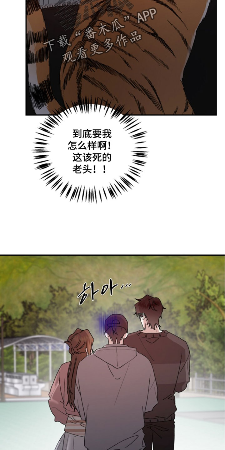 命中犯虎漫画,第78章：看着很不安3图
