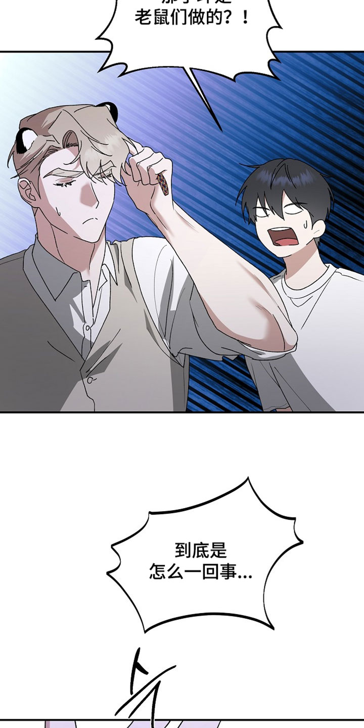 命中犯虎漫画,第76章：手环5图