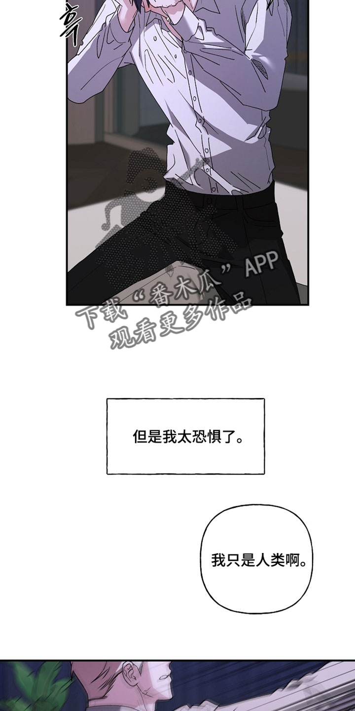 命中犯虎漫画,第74章：我不会让你死去的3图