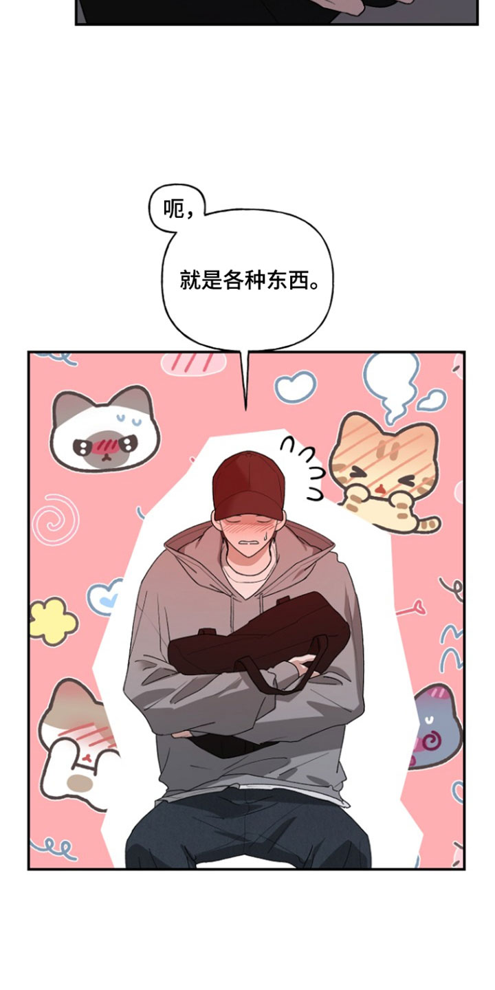 命中犯虎漫画,第77章：各种东西2图