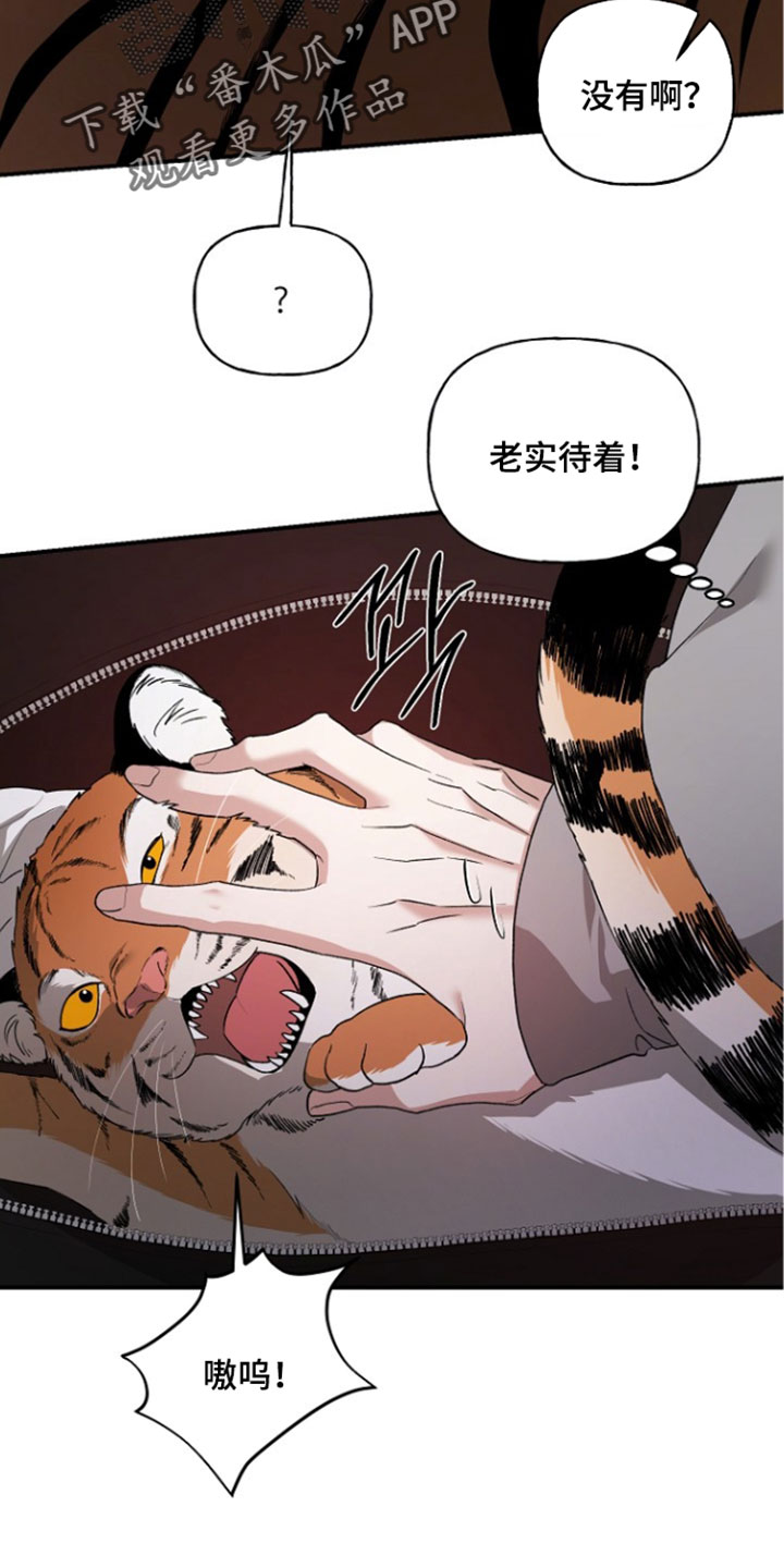 命中犯虎漫画,第78章：看着很不安5图