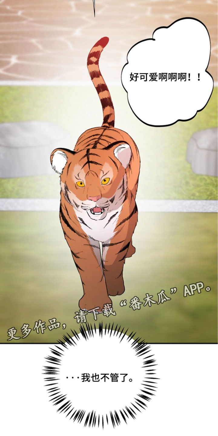 命中犯虎漫画,第79章：我也不管了（第一季完结）3图