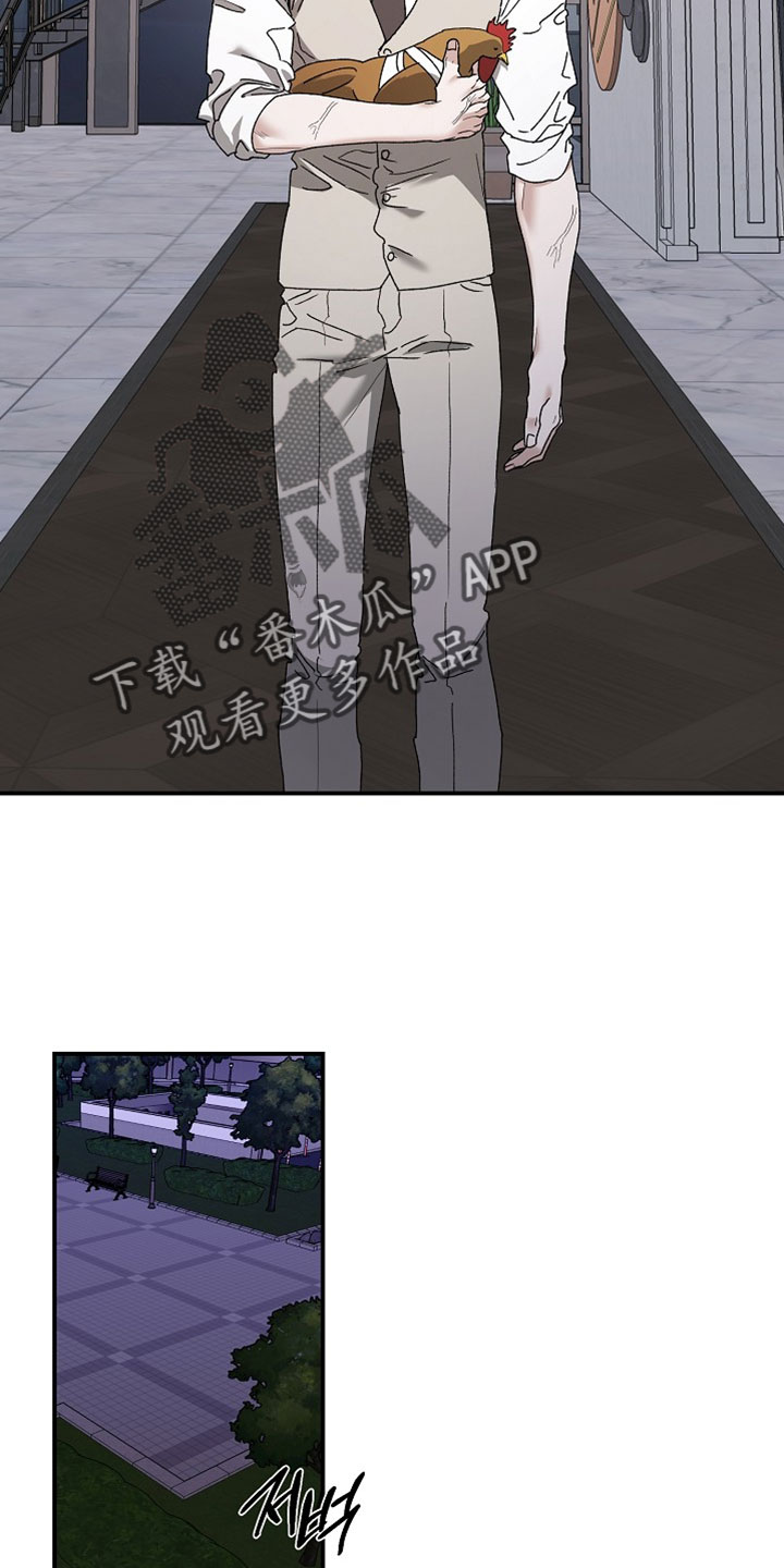 命中犯虎漫画,第72章：能不能好好看路4图
