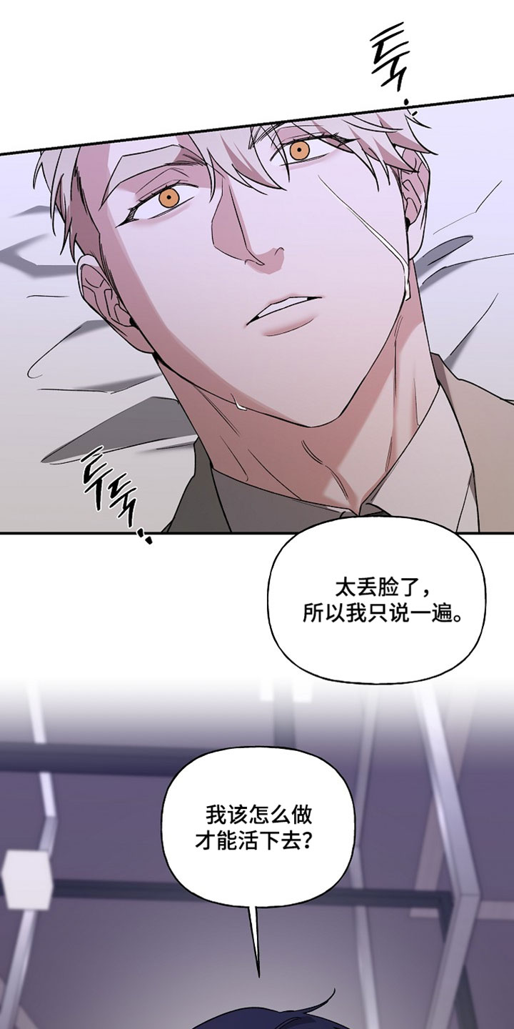 命中犯虎漫画,第74章：我不会让你死去的5图