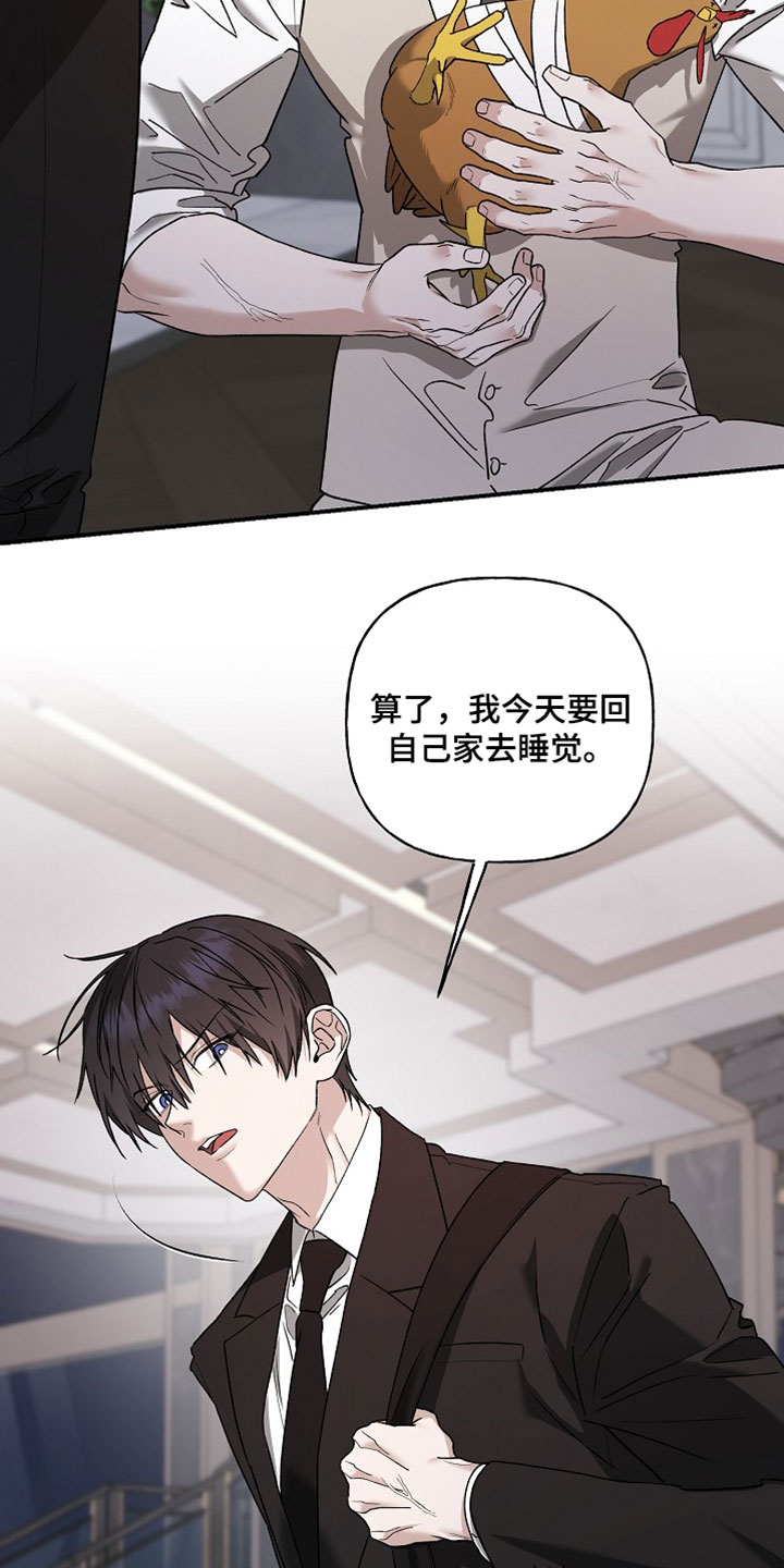 命中犯虎漫画,第72章：能不能好好看路5图