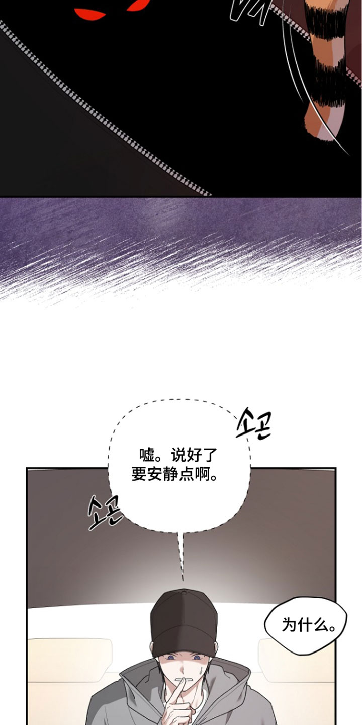 命中犯虎漫画,第77章：各种东西3图