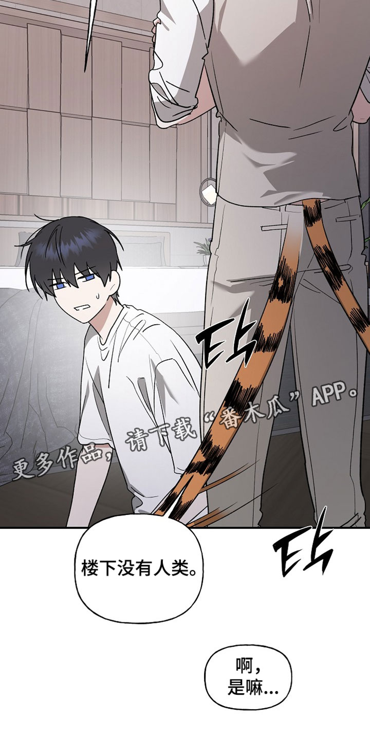 命中犯虎漫画,第75章：总之去玩吧4图